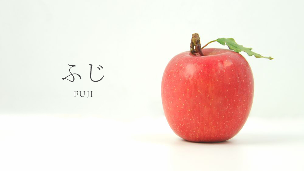 りんごの代表品種・ふじ｜FUJI|青森県/弘前市|特産品|Locolle ローコレ