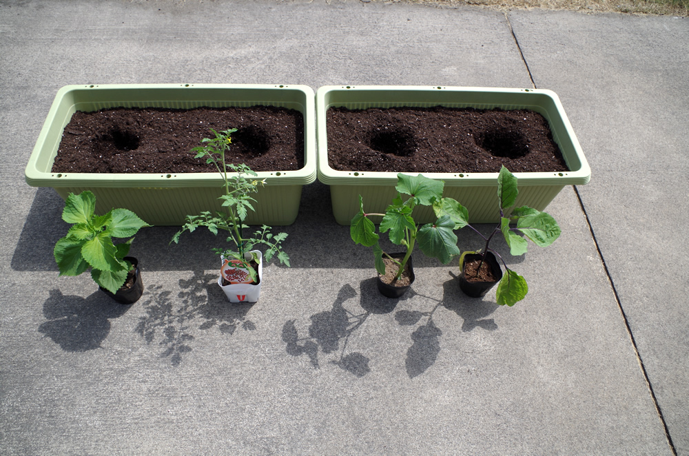 Locolle Garden プランターに野菜の苗を植えました 青森県 弘前市 Life Locolle ローコレ