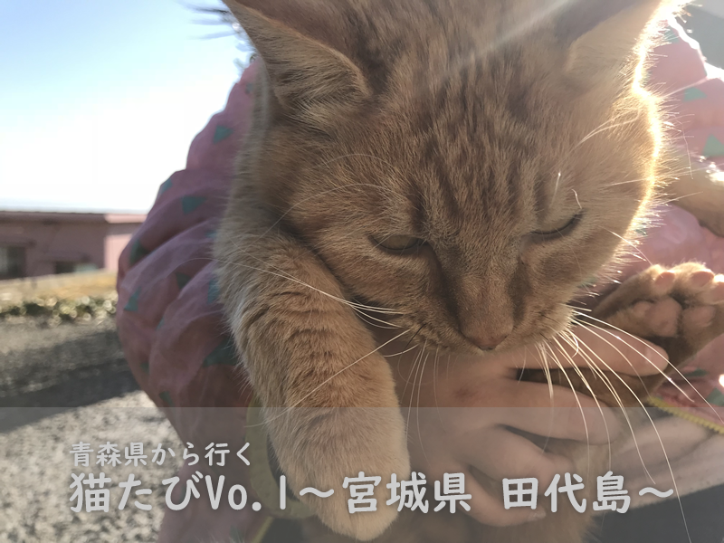 田代島