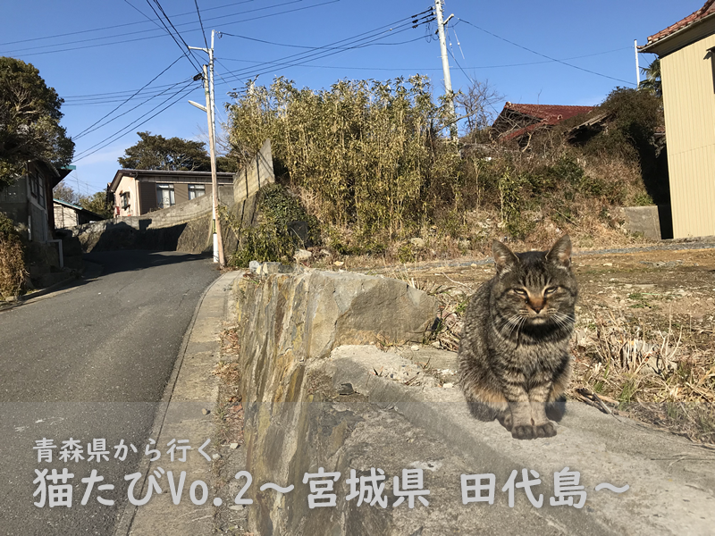田代島