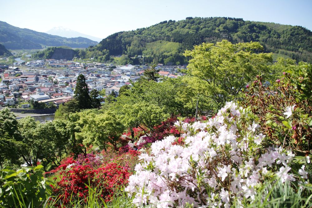 茶臼山公園 大鰐温泉つつじまつり 青森県 大鰐町 旅 Locolle ローコレ